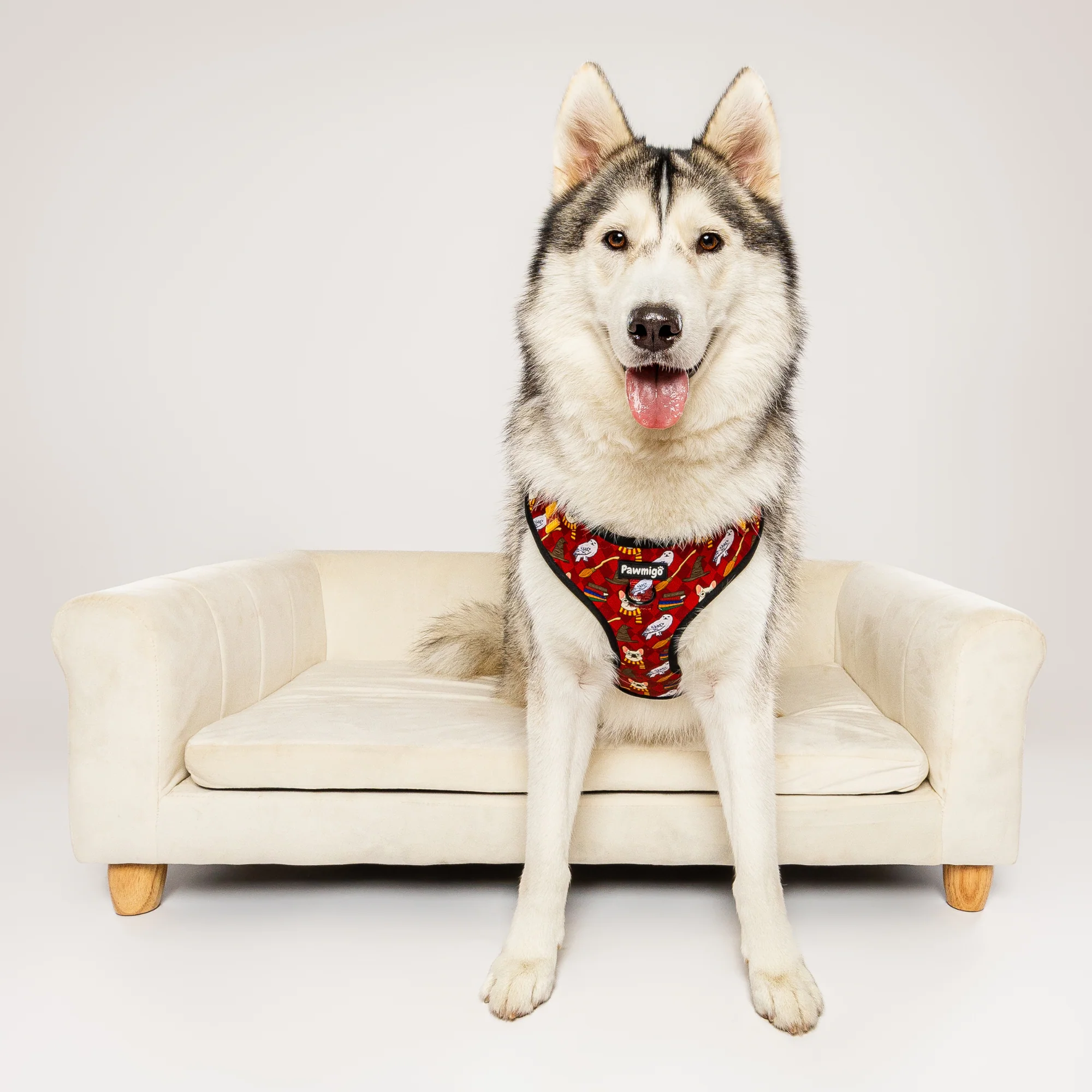 Pawgwarts Everyday Adjustable No-Pull Dog Harness - Image 9