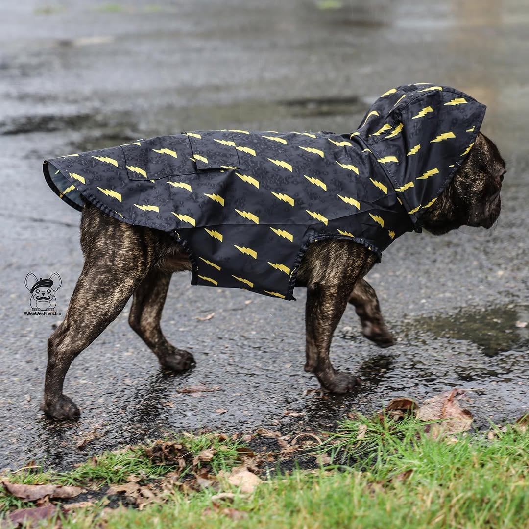 Pawgwarts Poncho - Image 4