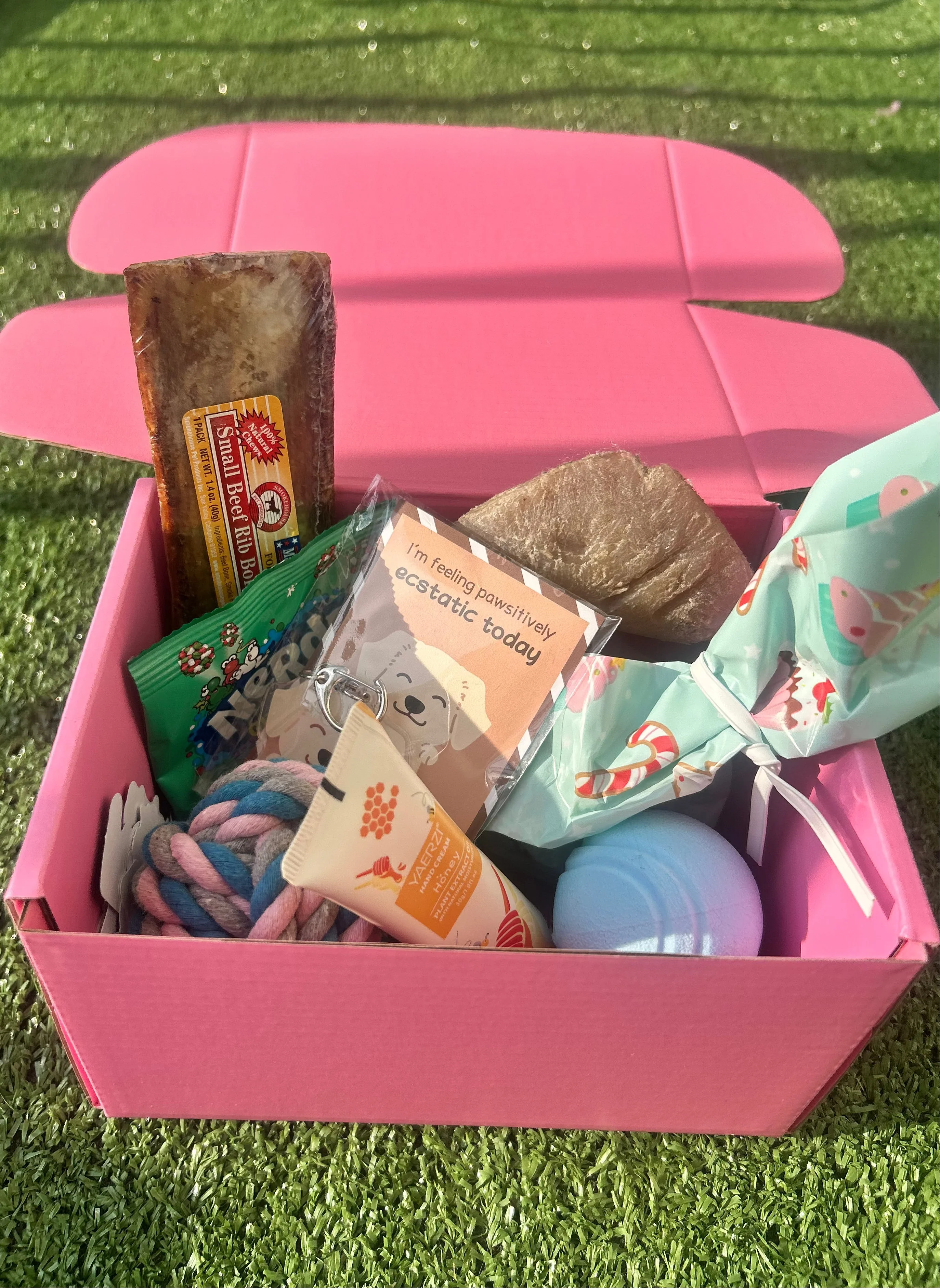 Pawliday Box (SOLD OUT) - Image 2