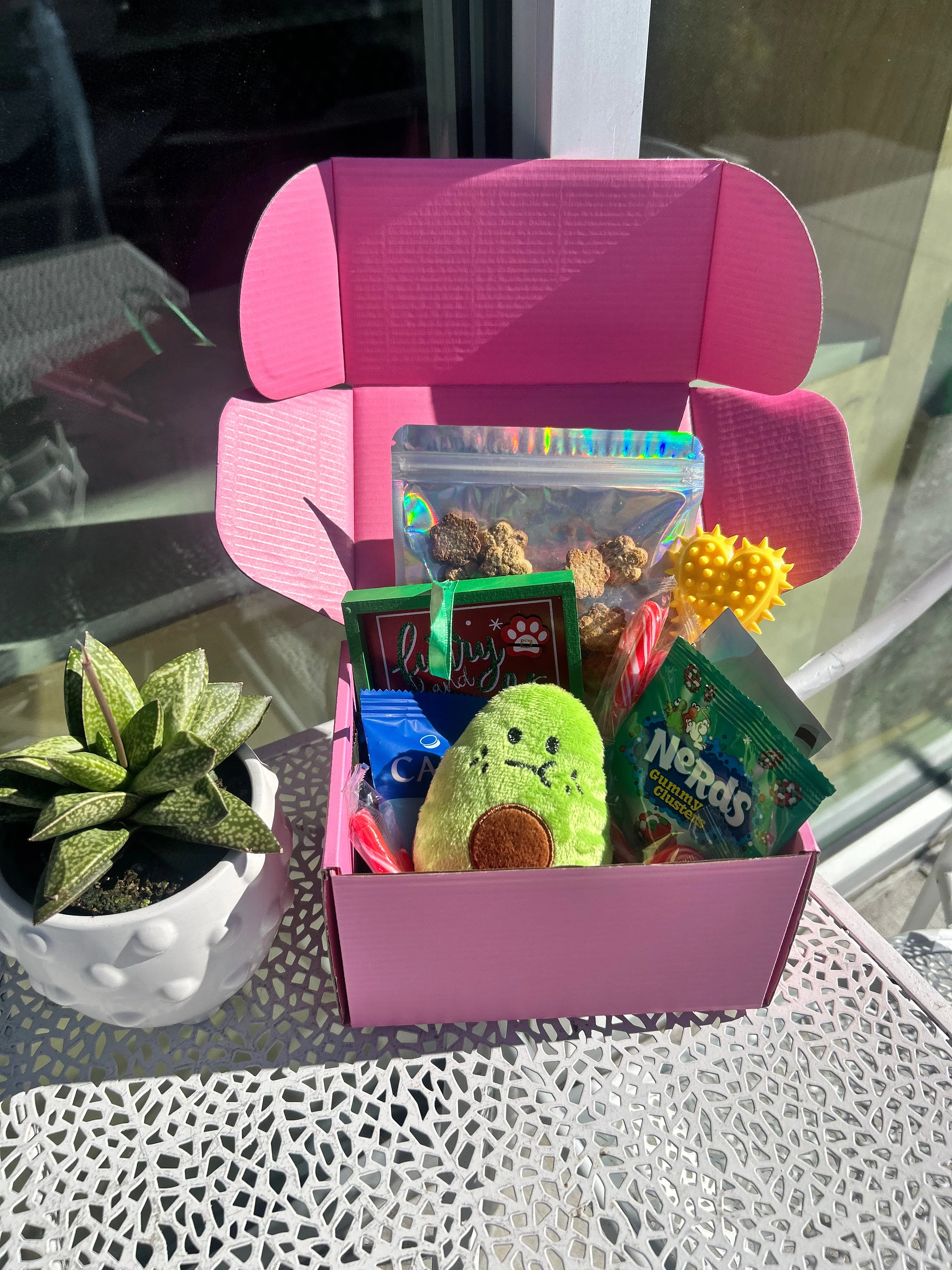 Pawliday Box (SOLD OUT) - Image 4