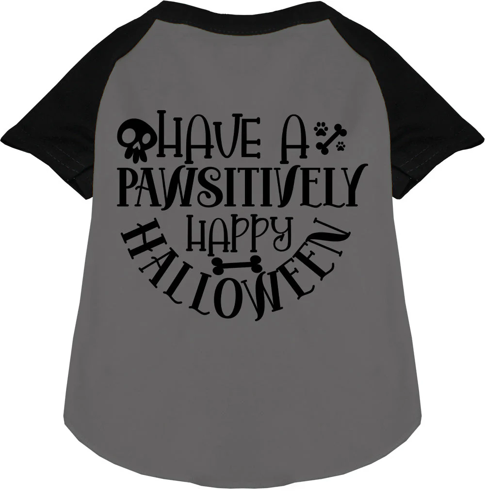Pawsitively Happy Halloween Pet Raglan Shirt - Image 3