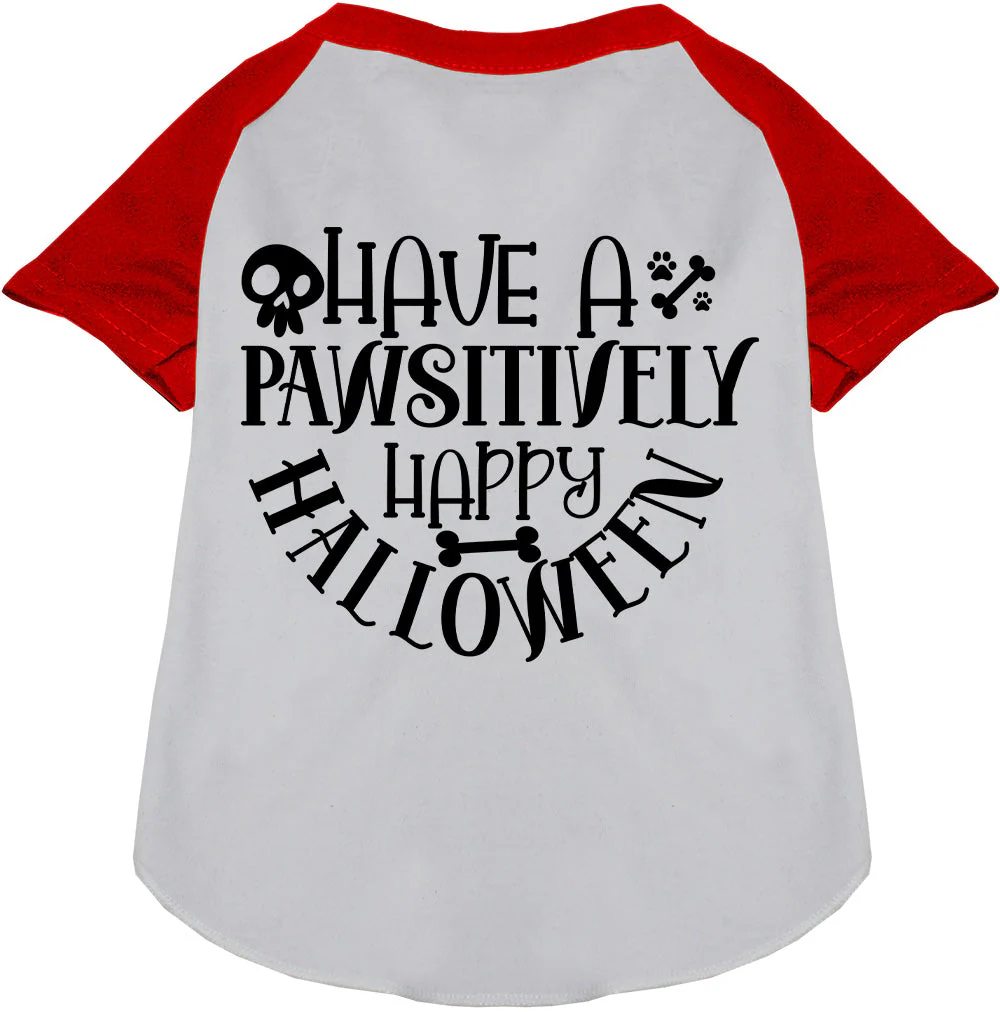 Pawsitively Happy Halloween Pet Raglan Shirt - Image 7