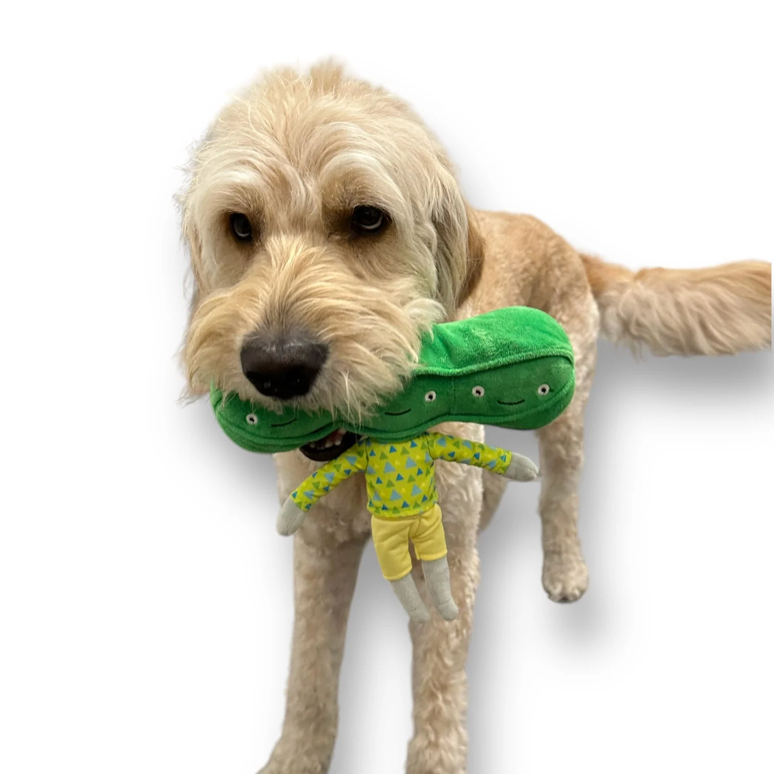 Pea Nose Work Dog Toy - Image 2