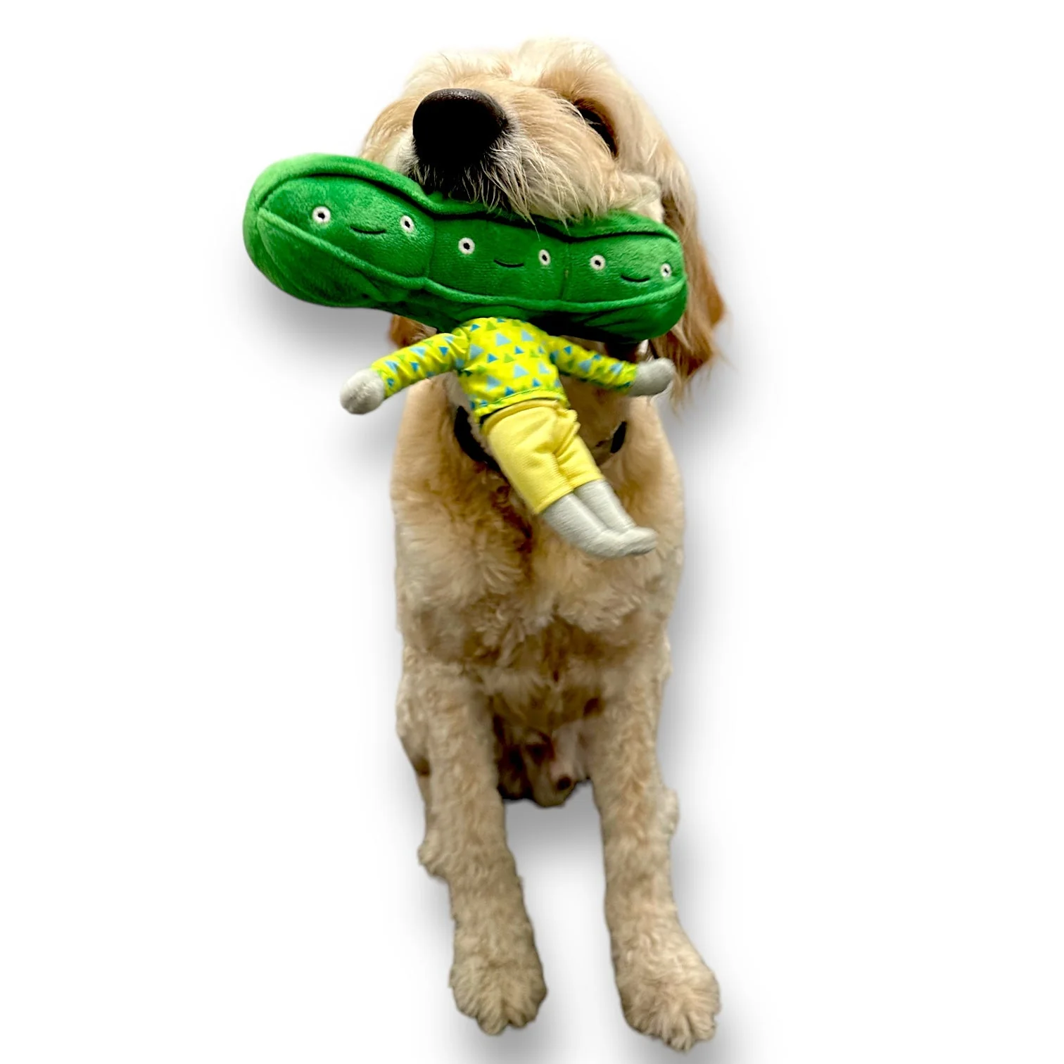 Pea Nose Work Dog Toy - Image 6