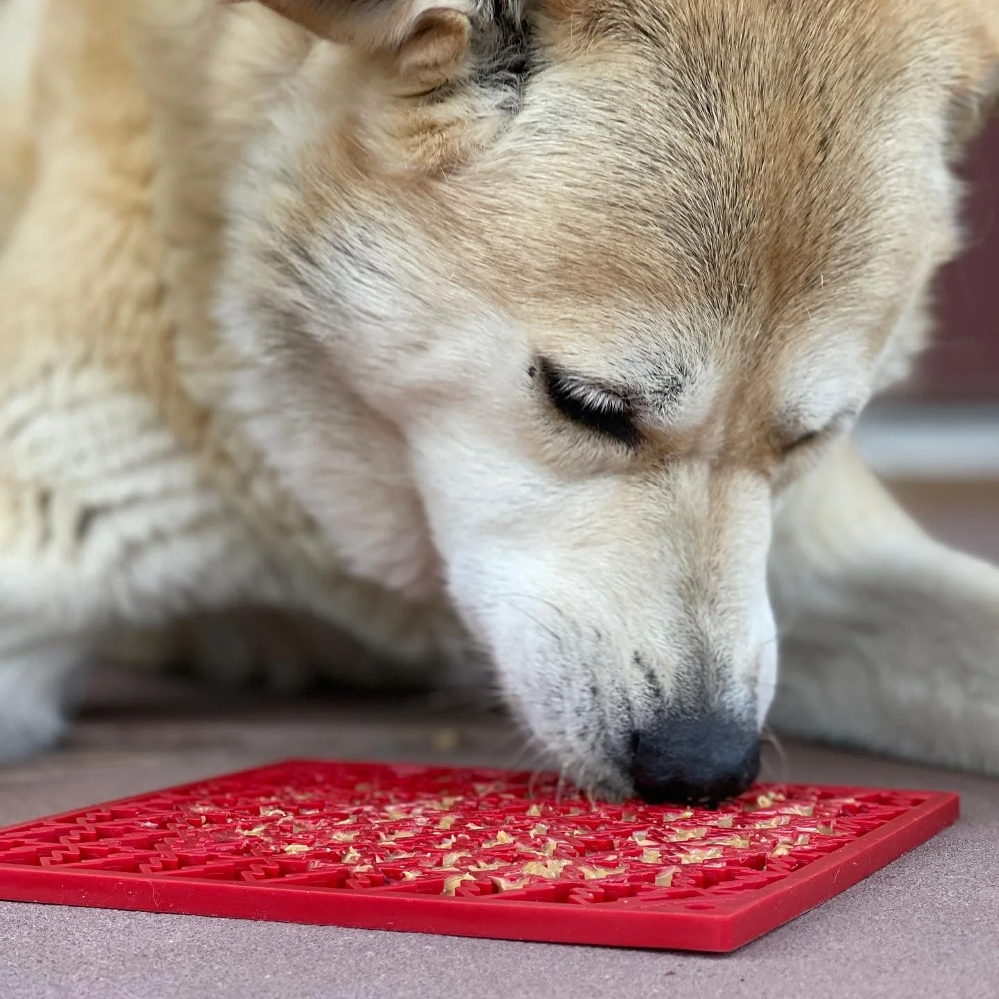 "Peace" Christmas Tree emat - Enrichment Lick Mat for Dogs and Cats | Christmas Tree design | SodaPup - Image 9
