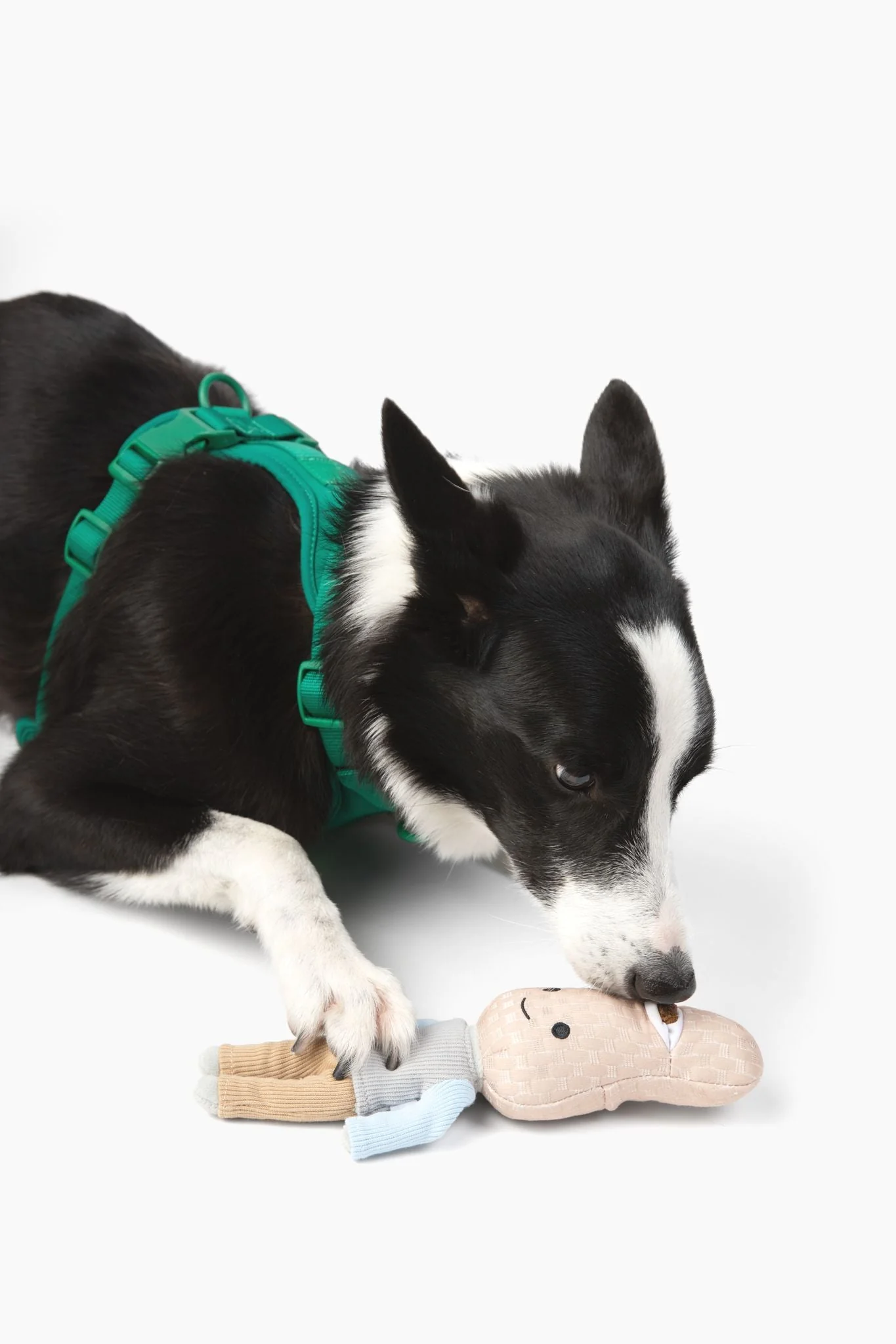Peanut Nose Work Dog Toy - Image 2