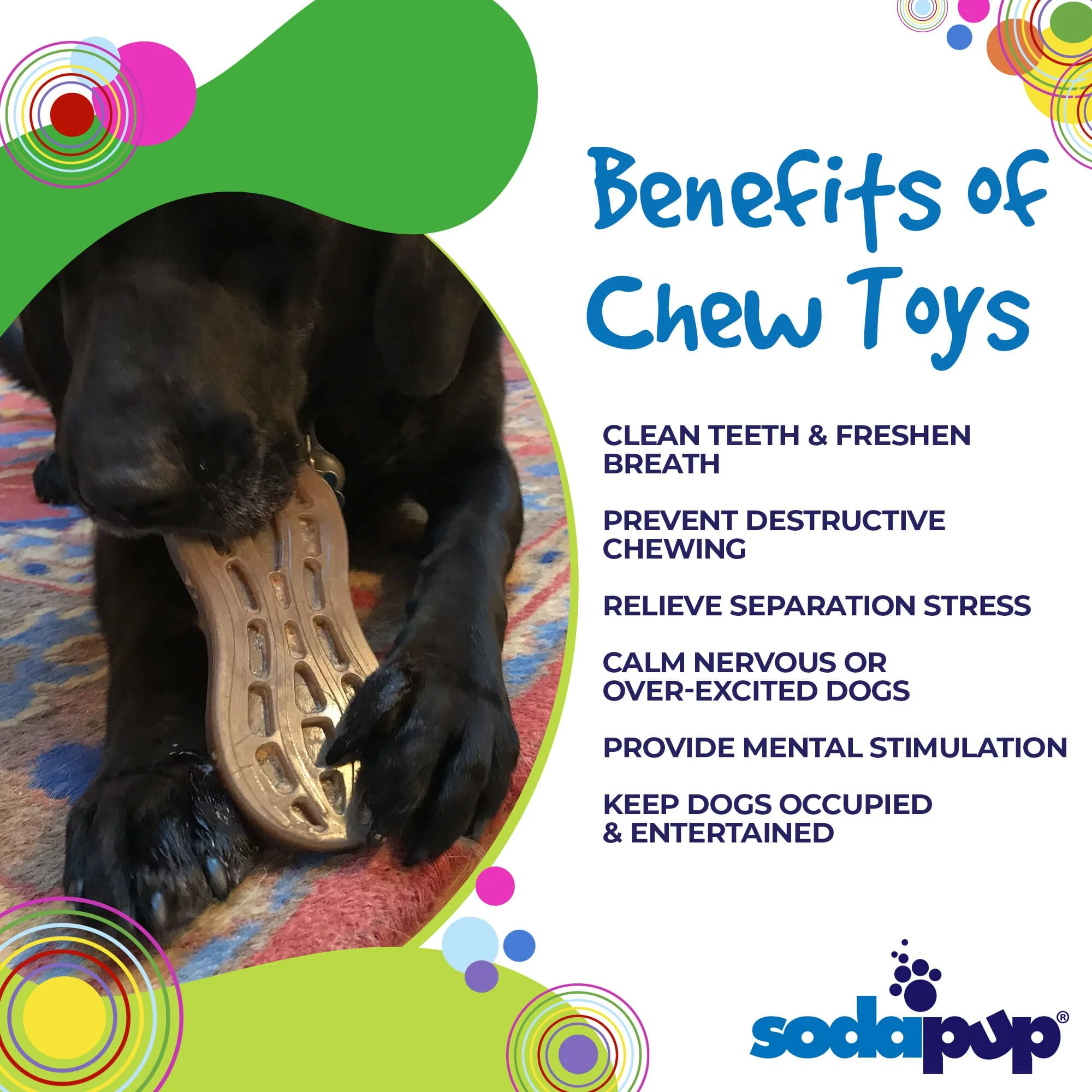 Peanut Nylon Dog Chew Toy | Ultra-Durable for Aggressive Chewers | SodaPup - Image 4