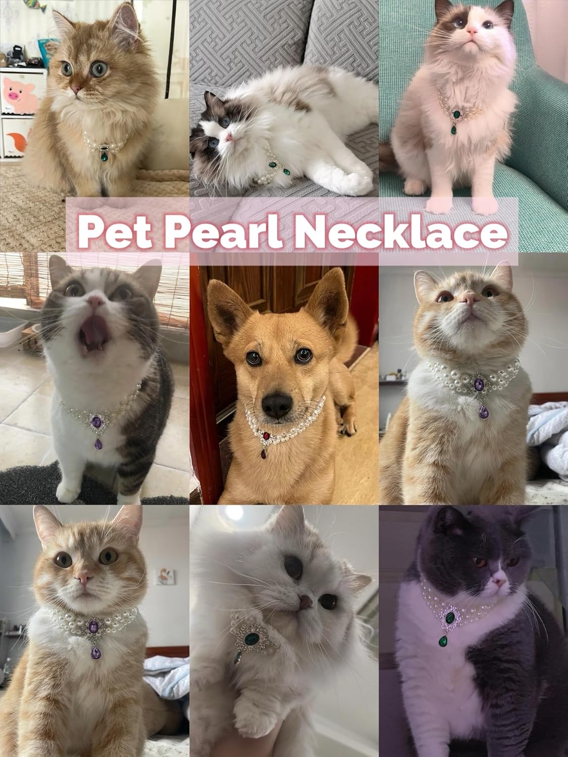 Pearl Pet Necklace with Gem Pendant - Image 3