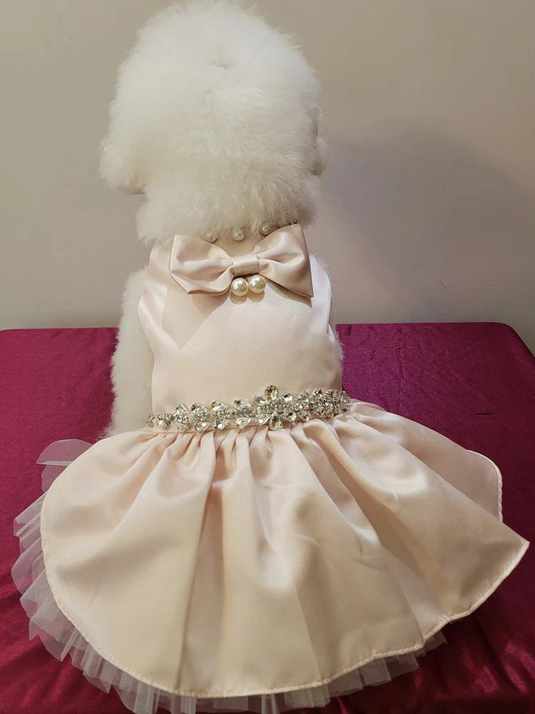 Pearl Princess Pet Dress - Image 2