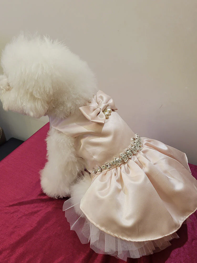 Pearl Princess Pet Dress - Image 3