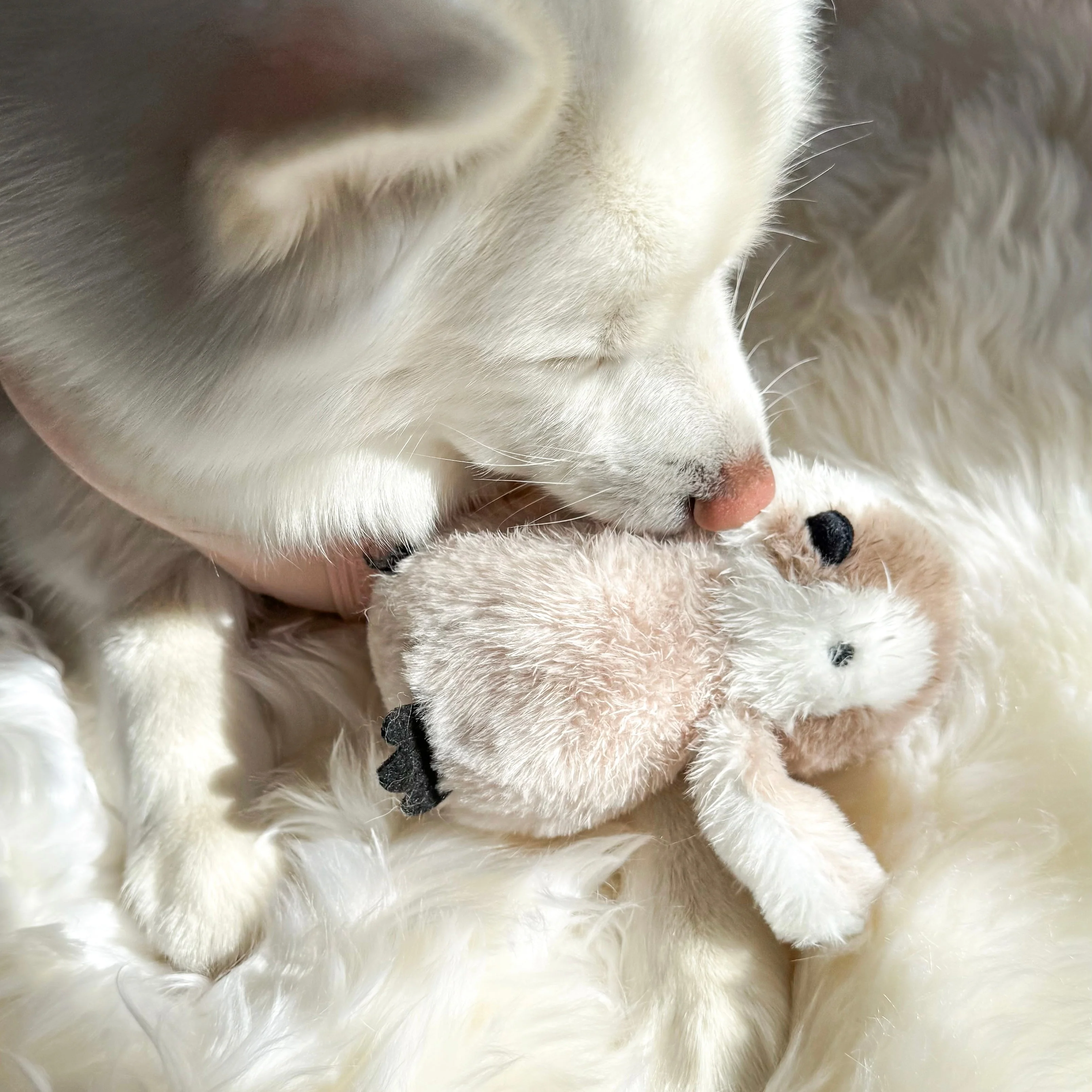 Pegy Mini Plushie - Image 4