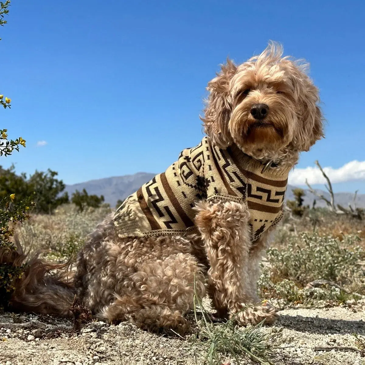 Pendleton Dog Sweater - Image 3