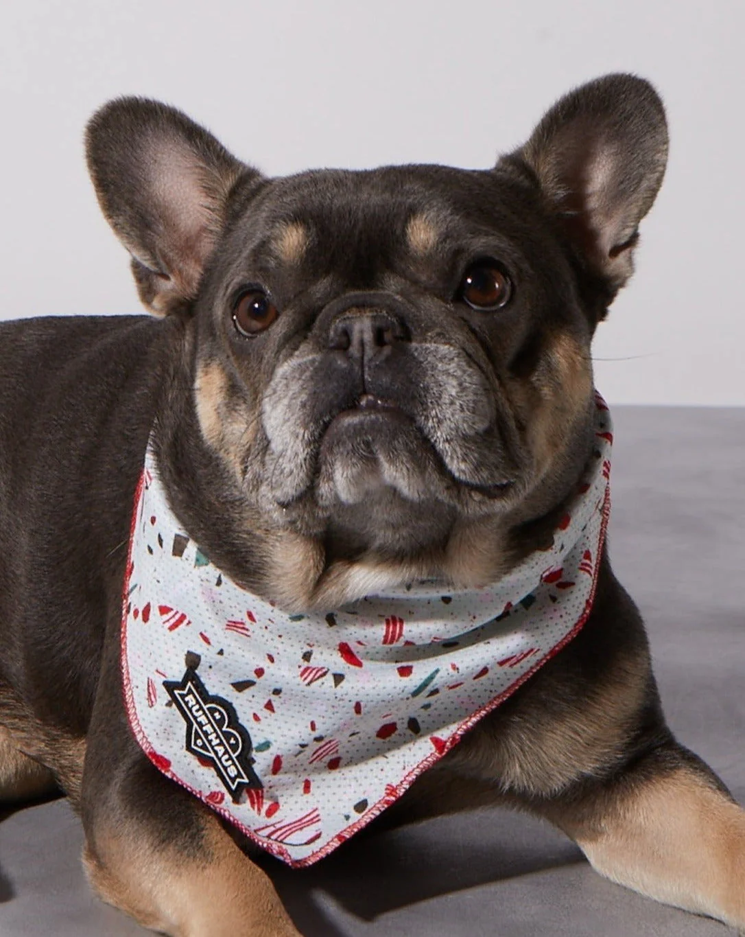 Peppermint Bark Cooling Bandana - Image 2