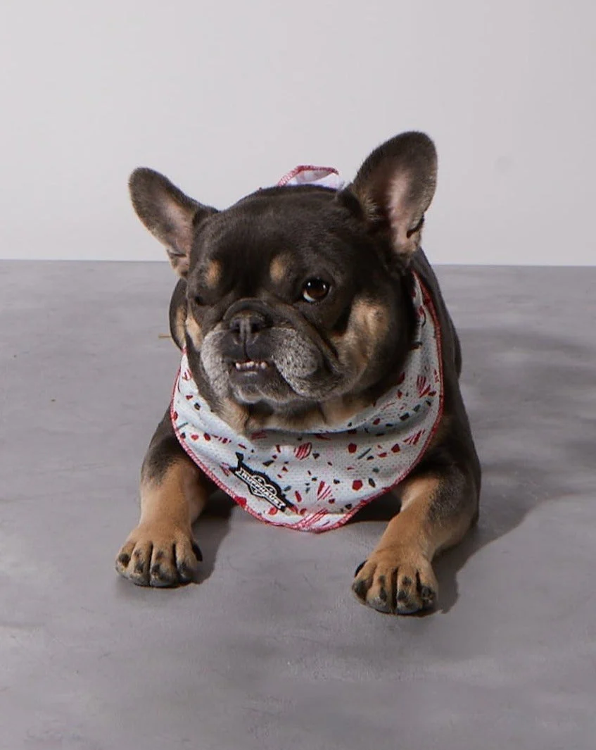 Peppermint Bark Cooling Bandana - Image 3