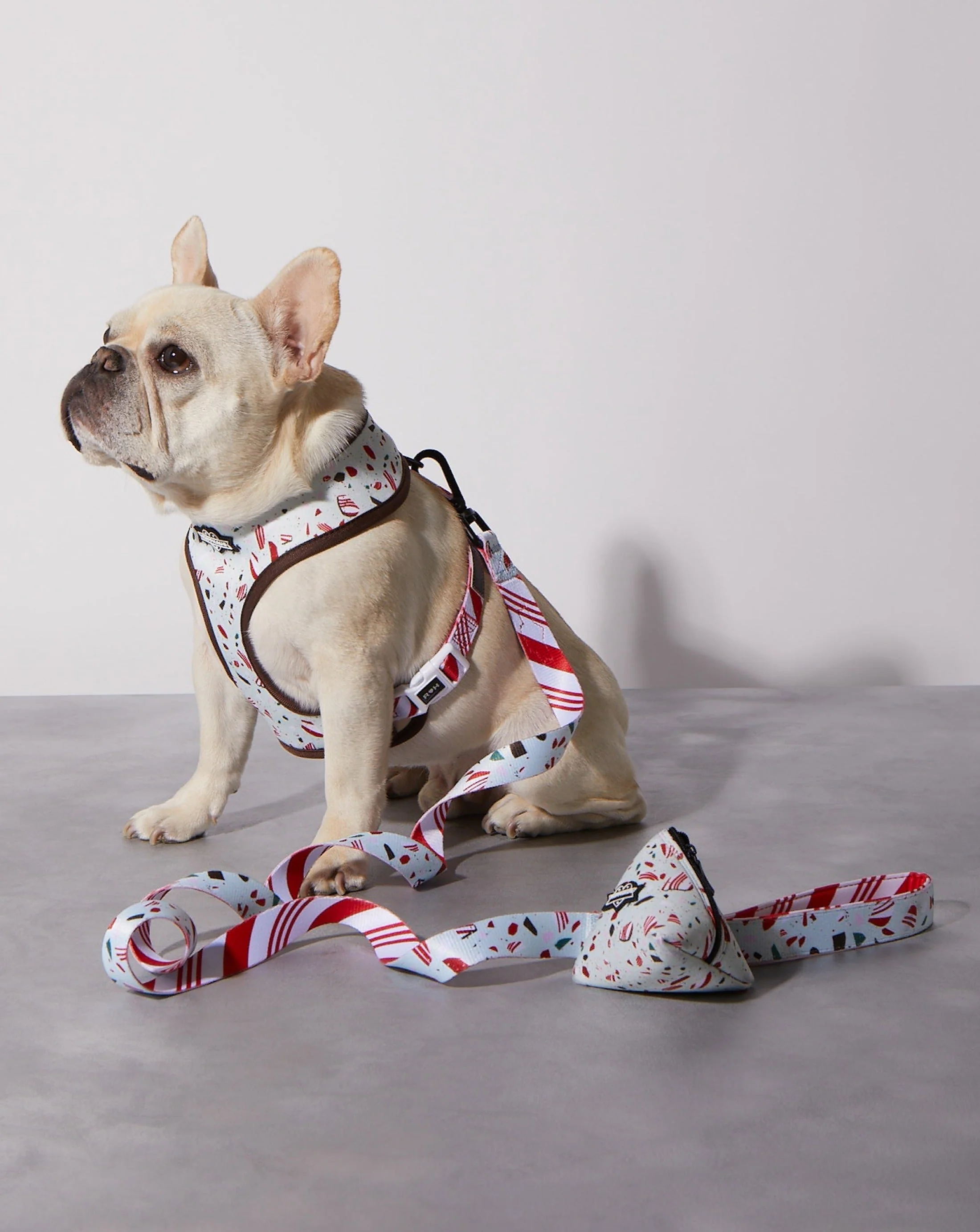 Peppermint Bark Dog Leash - Image 2