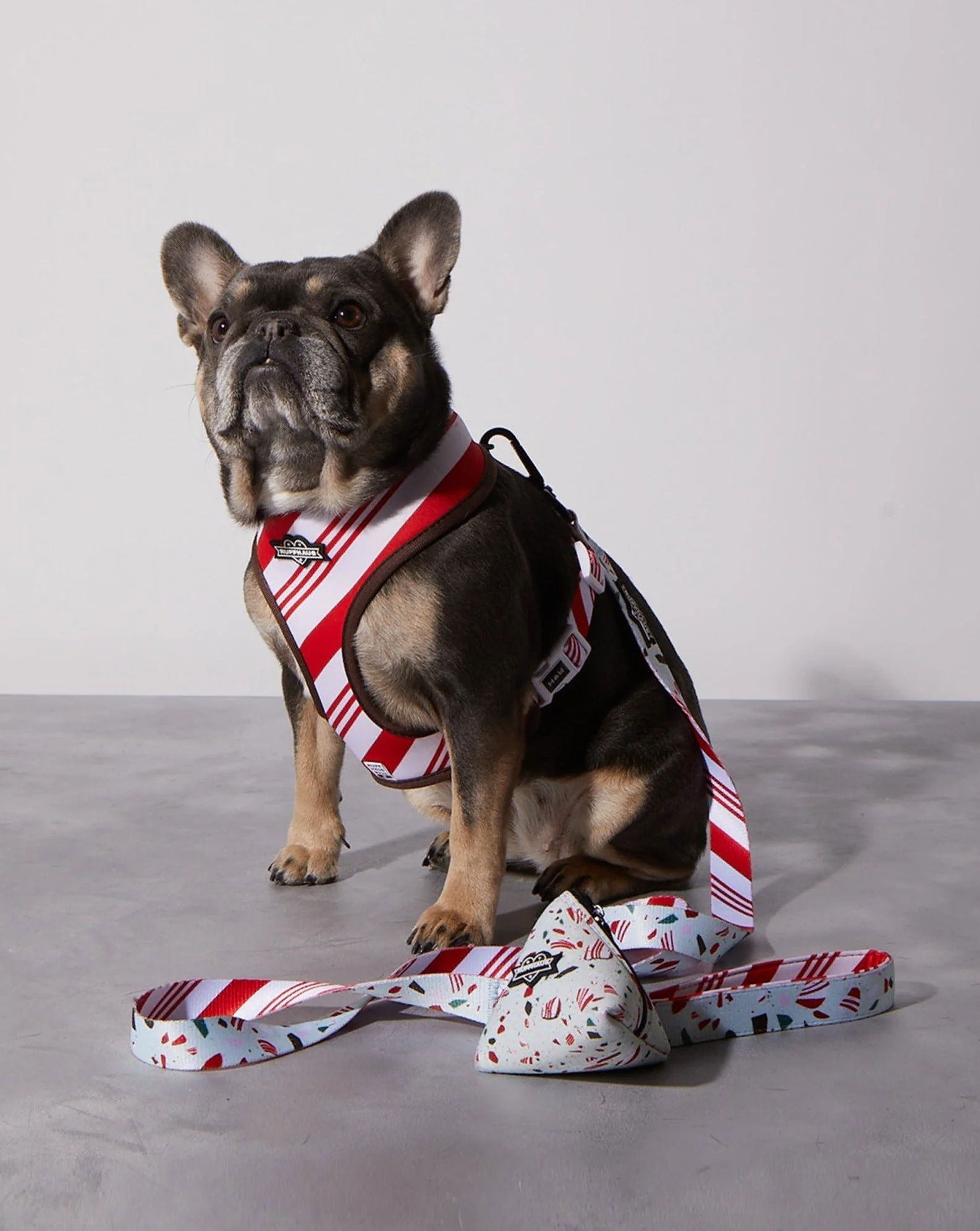 Peppermint Bark Dog Leash - Image 3