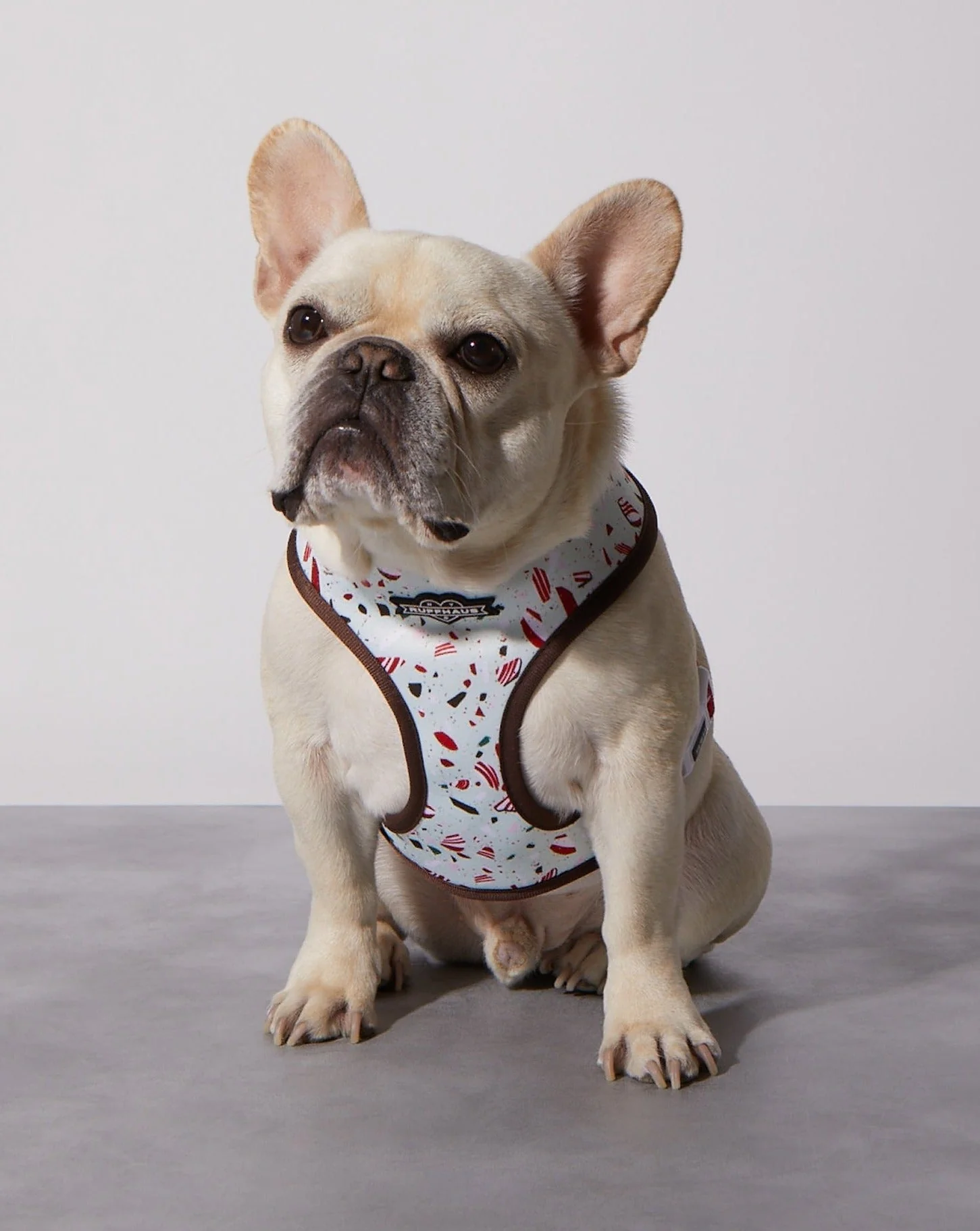 Peppermint Bark Reversible Harness - Image 2