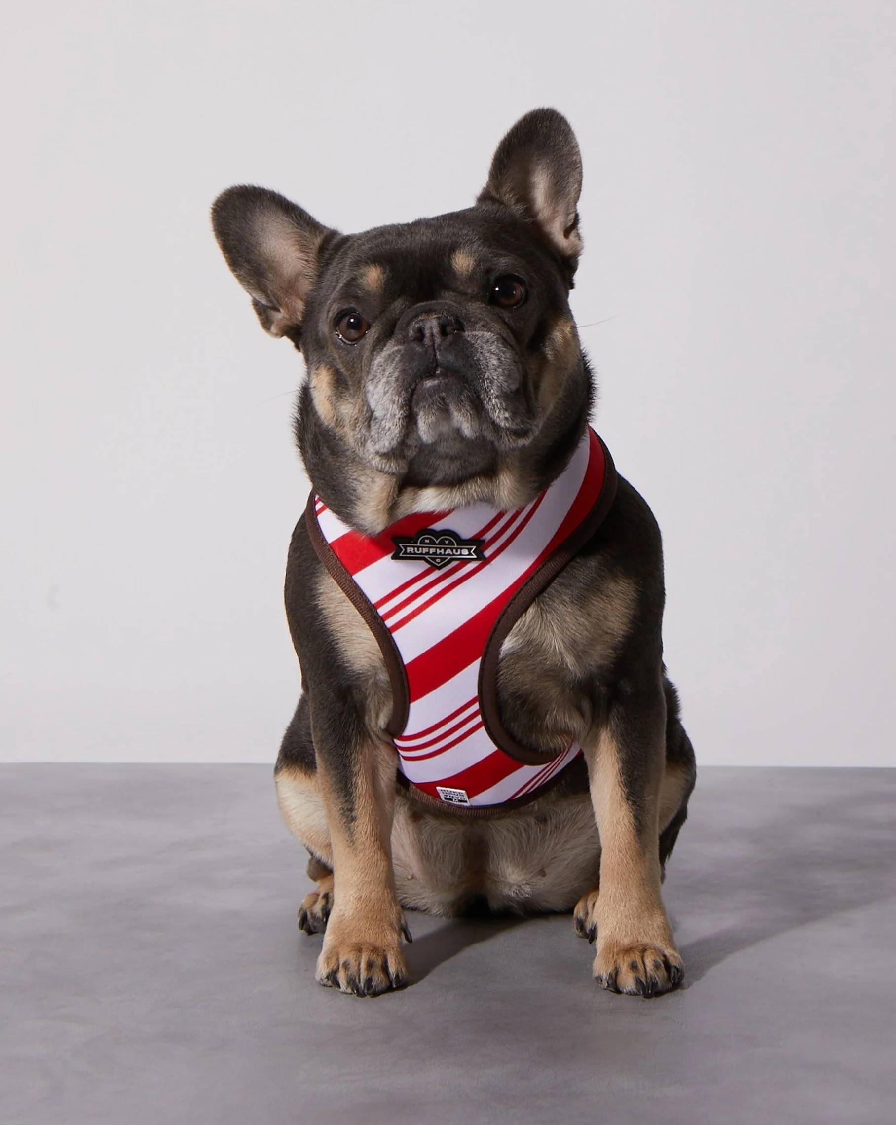 Peppermint Bark Reversible Harness - Image 3