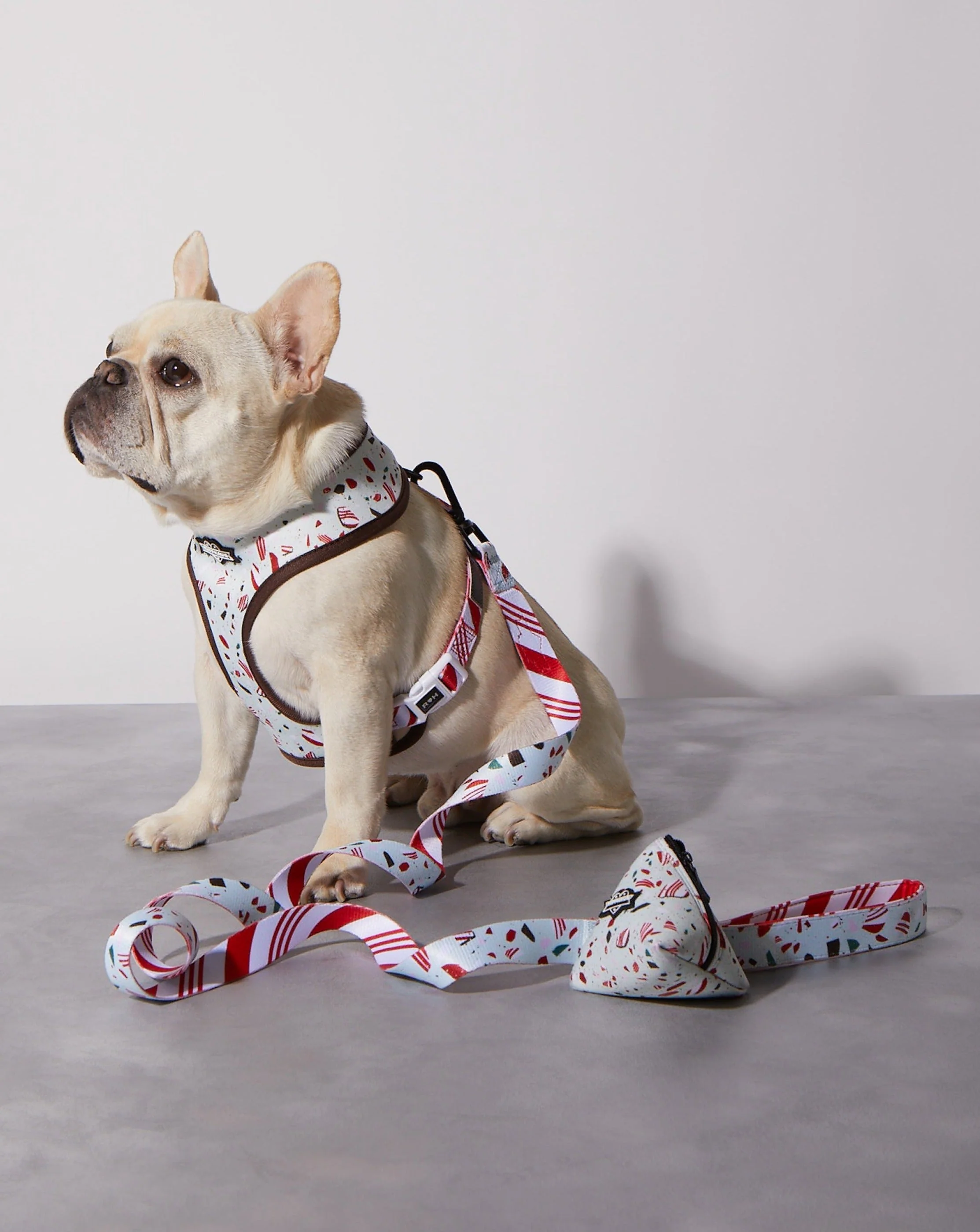 Peppermint Bark Reversible Harness - Image 4