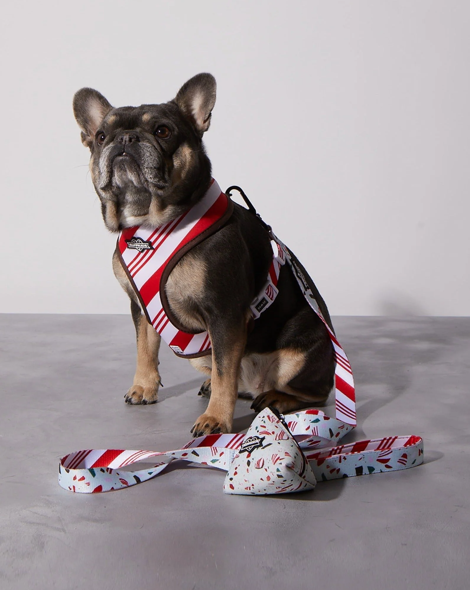 Peppermint Bark Reversible Harness - Image 5