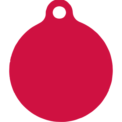 Peppermint Stick HD Dog ID Tag - Image 4