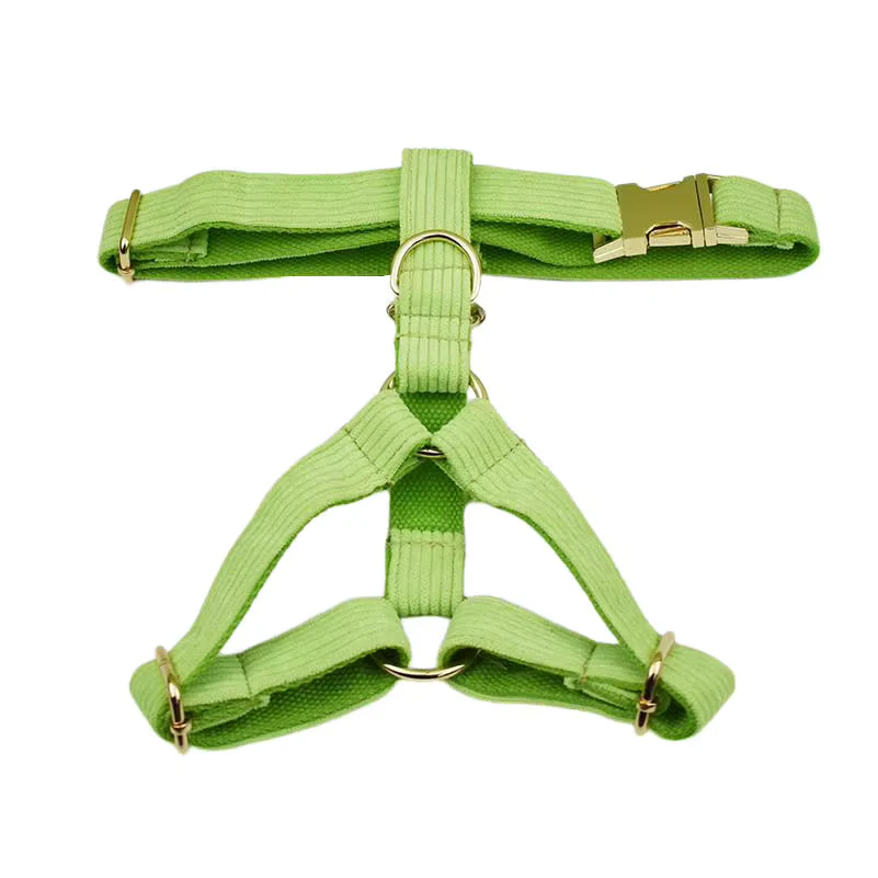Personalized Apple Green Corduroy Classic Set - Image 14