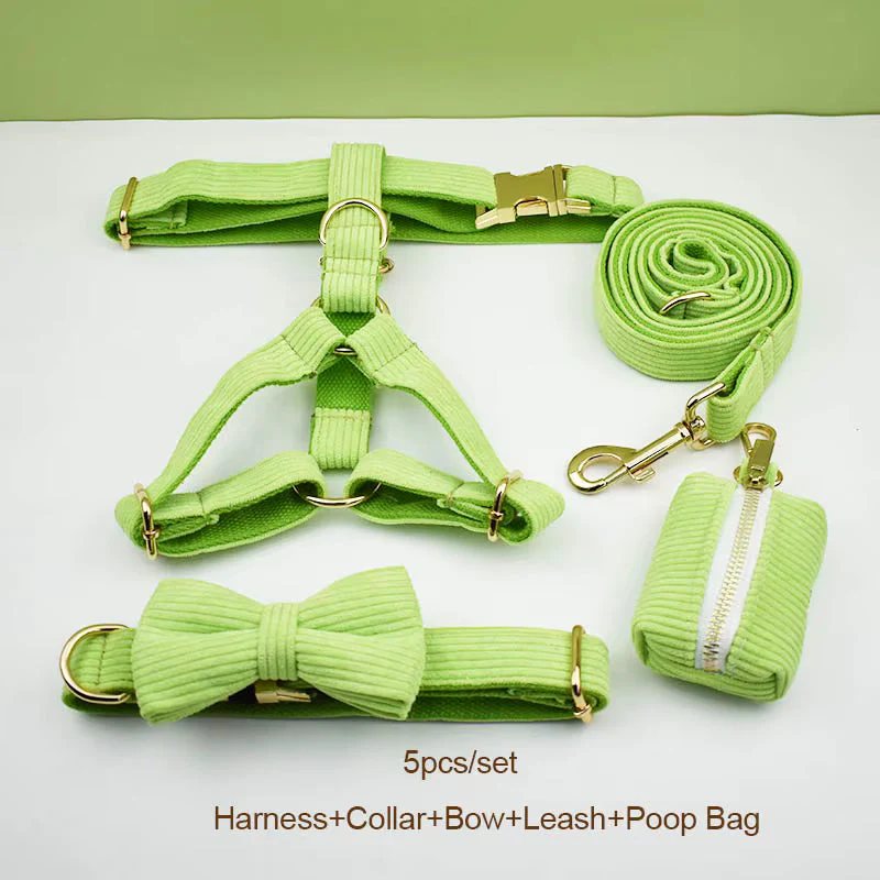 Personalized Apple Green Corduroy Classic Set - Image 19