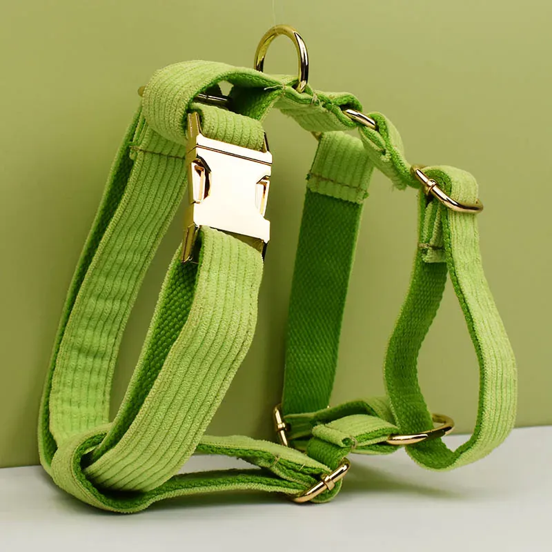 Personalized Apple Green Corduroy Classic Set - Image 5