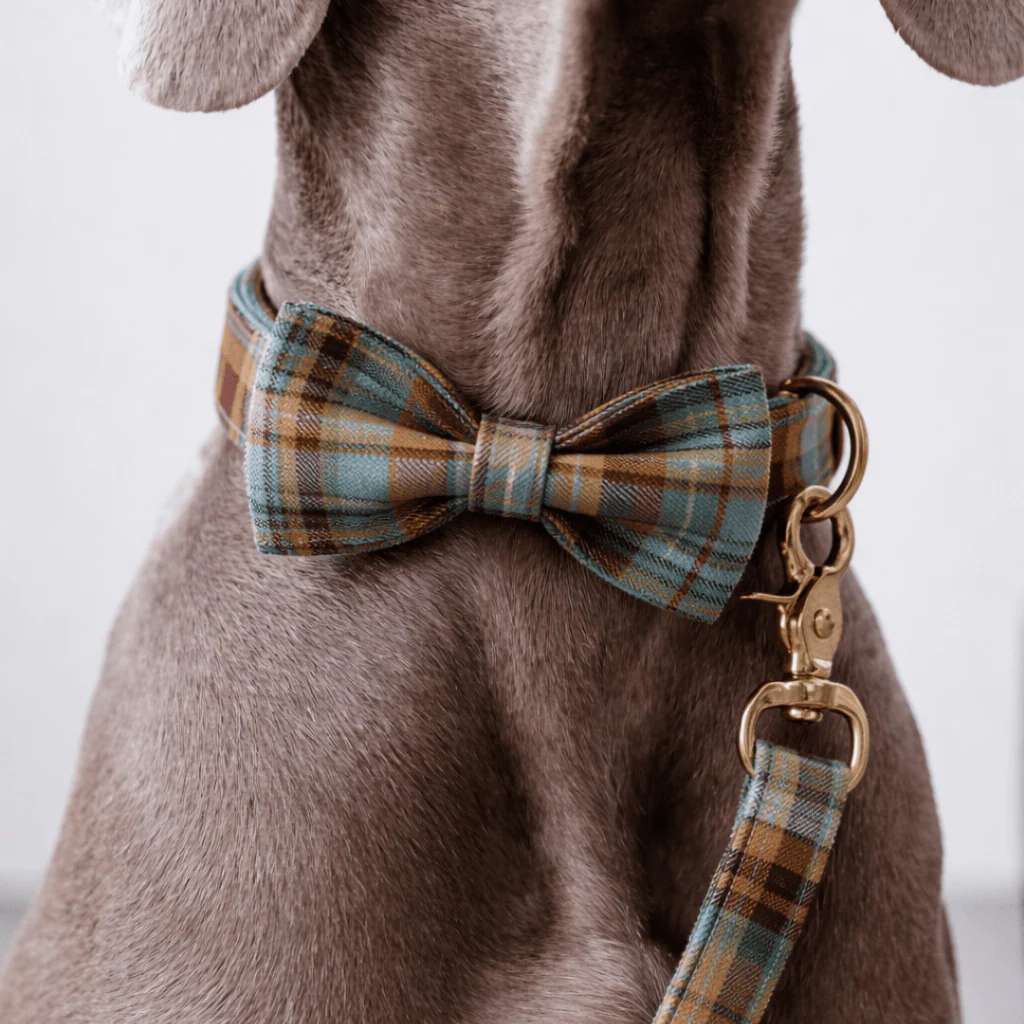 Personalized Autumn Blue Plaid Classic Set - Image 2