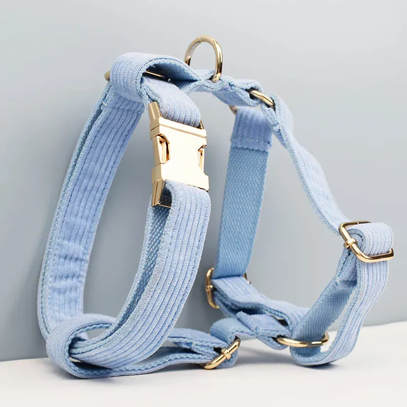 Personalized Blue Corduroy Classic Set - Image 3