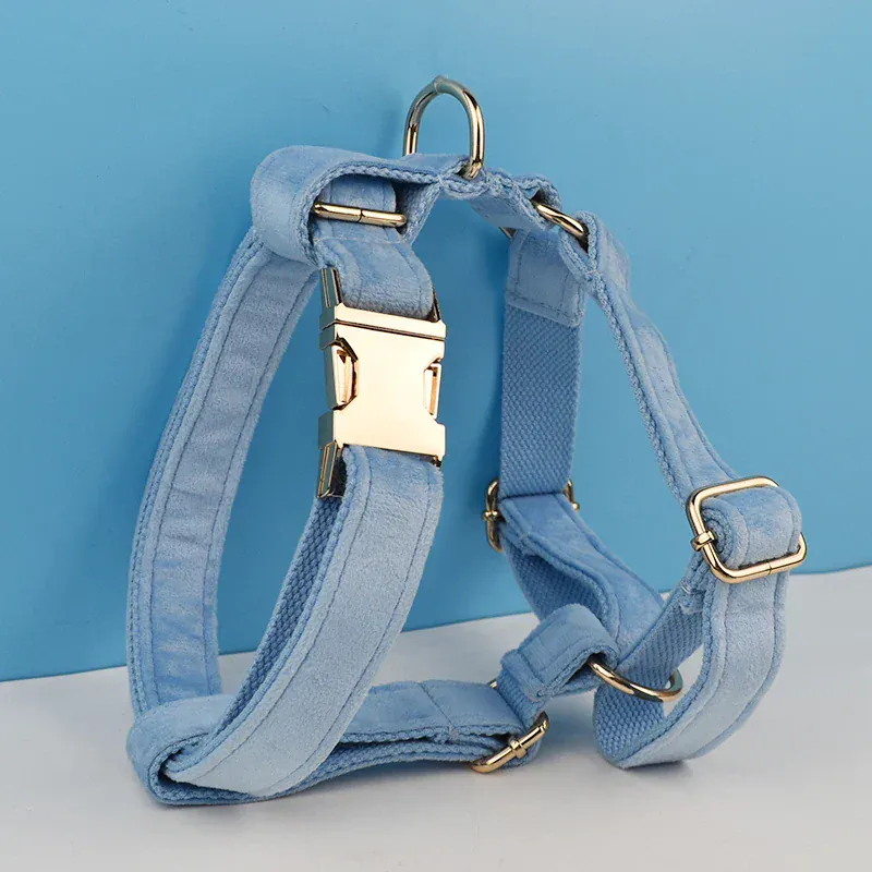 Personalized Blue Velvet Classic Set - Image 5