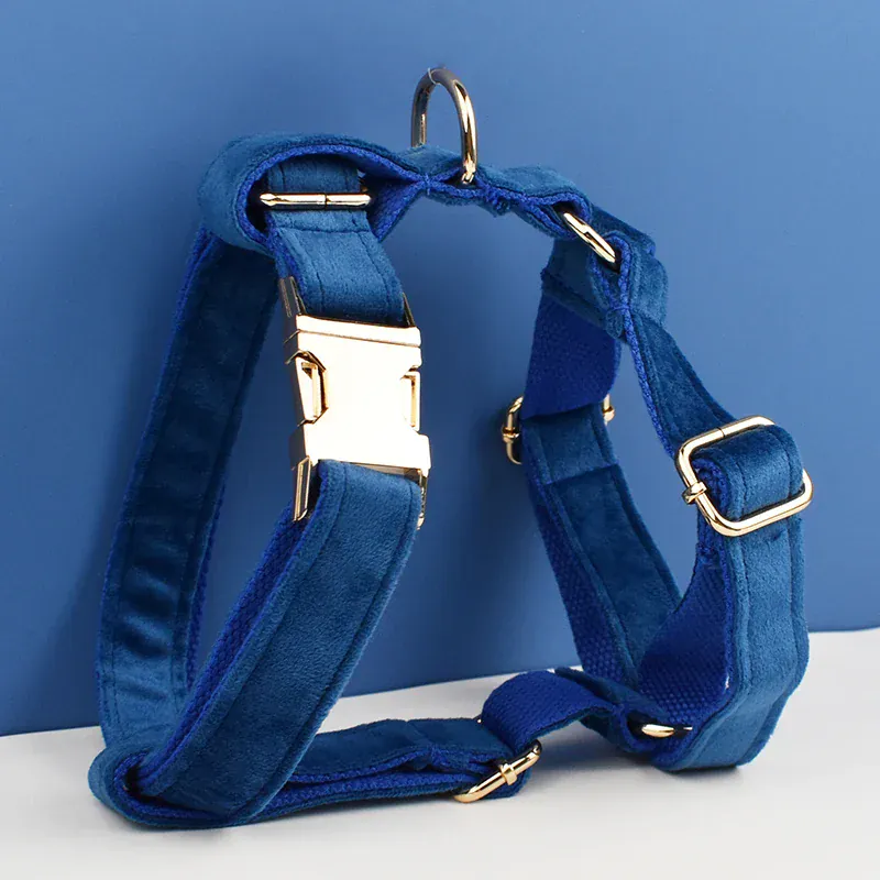 Personalized Blue Velvet Classic Set - Image 3