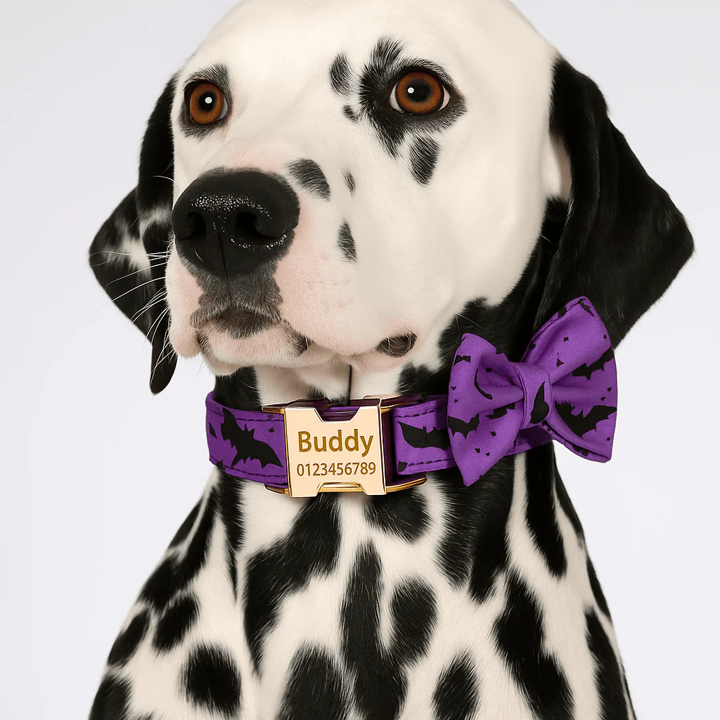 Personalized Classic Violet Classic Set - Image 2