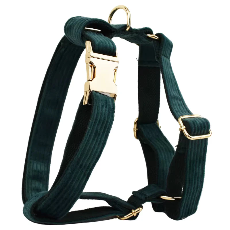 Personalized Dark Green Corduroy Classic Set - Image 14