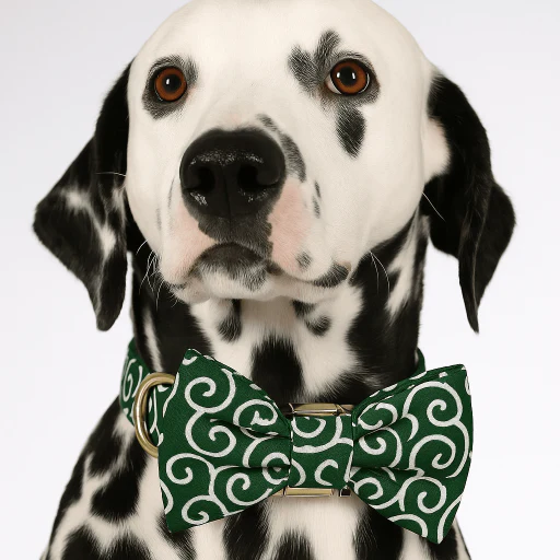 Personalized Emerald Swirl Classic Set - Image 2