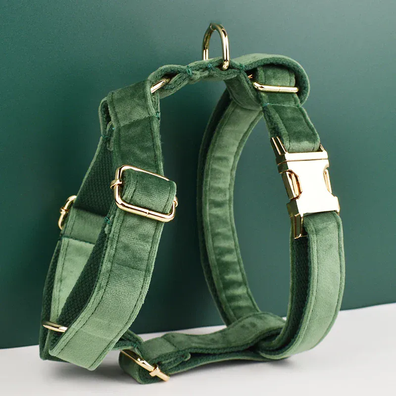 Personalized Forest Green Velvet Classic Set - Image 4