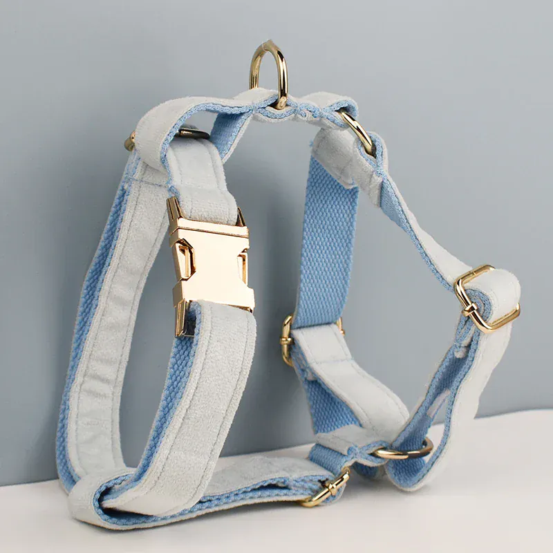 Personalized Light Blue Velvet Classic Set - Image 5