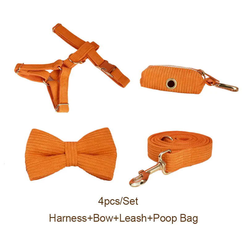 Personalized Orange Corduroy Classic Set - Image 19