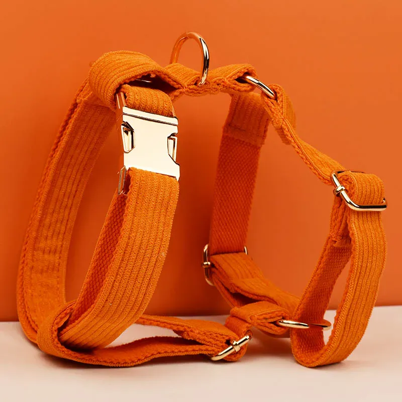 Personalized Orange Corduroy Classic Set - Image 5