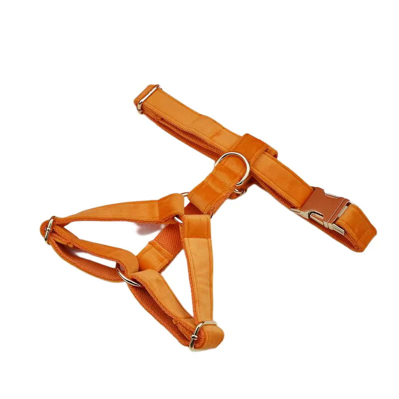 Personalized Orange Velvet Classic Set - Image 18