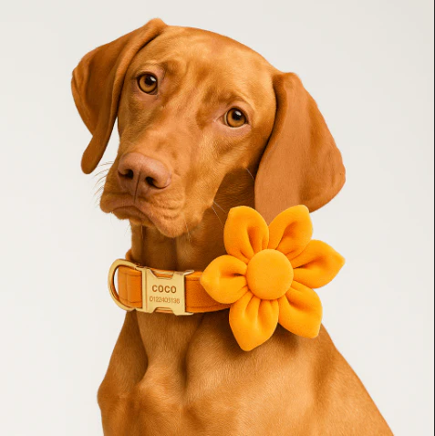Personalized Orange Velvet Classic Set - Image 2