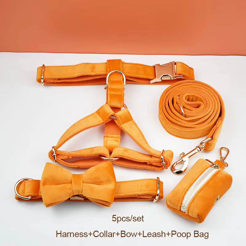 Personalized Orange Velvet Classic Set - Image 22