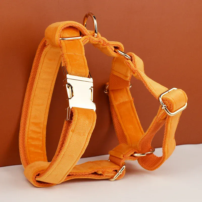 Personalized Orange Velvet Classic Set - Image 4
