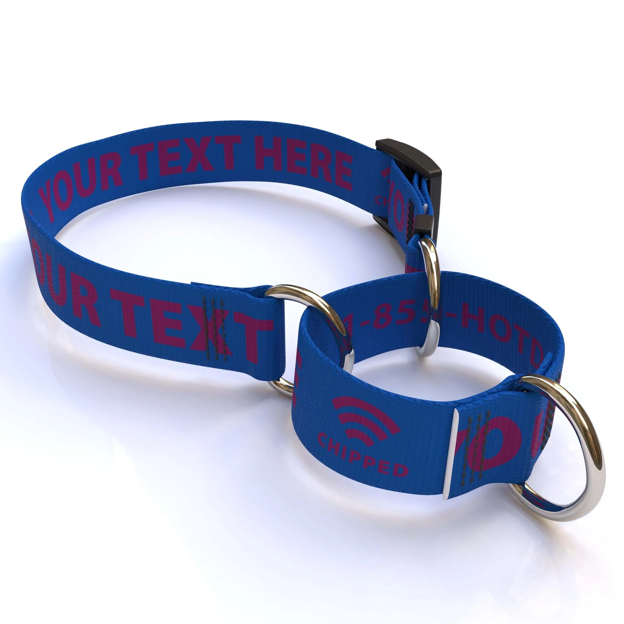 Personalized Solid Colored Martingale Collar - Image 15