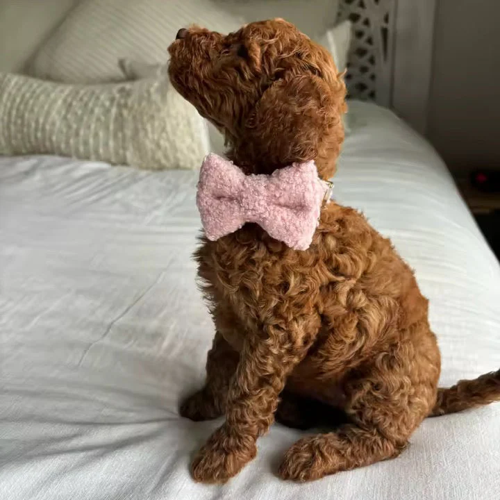 Personalized Teddy Pink Classic Set - Image 2
