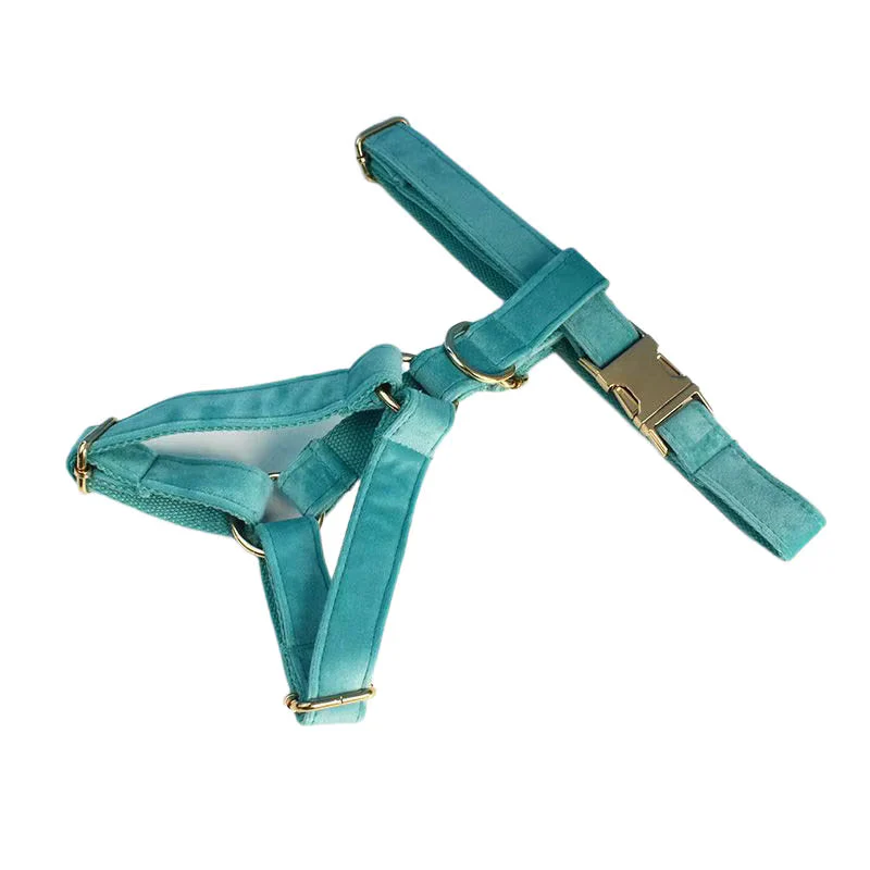 Personalized Turquoise Stone Velvet Classic Set - Image 15
