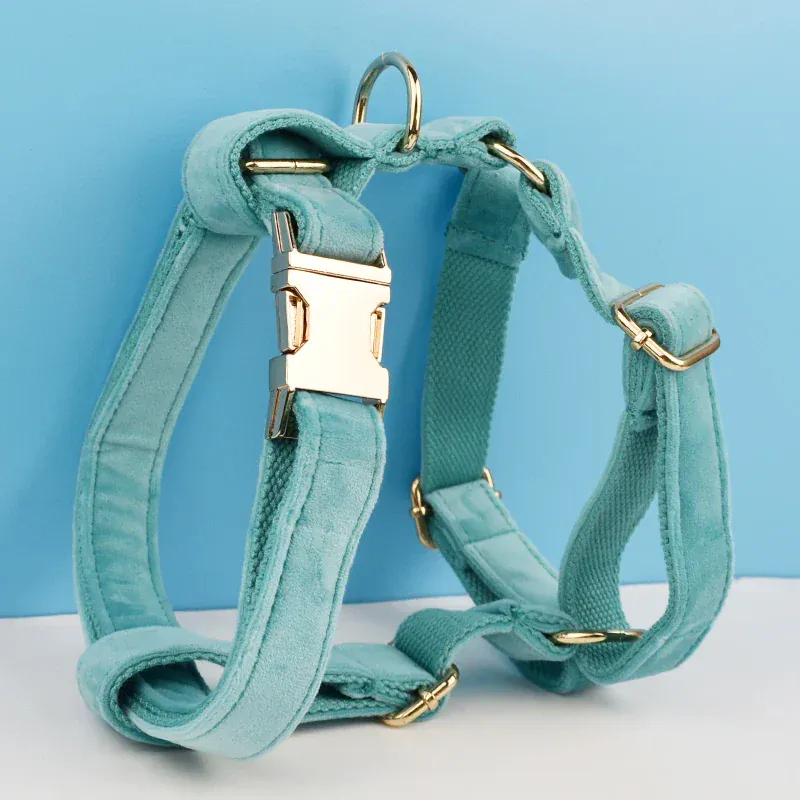 Personalized Turquoise Stone Velvet Classic Set - Image 5