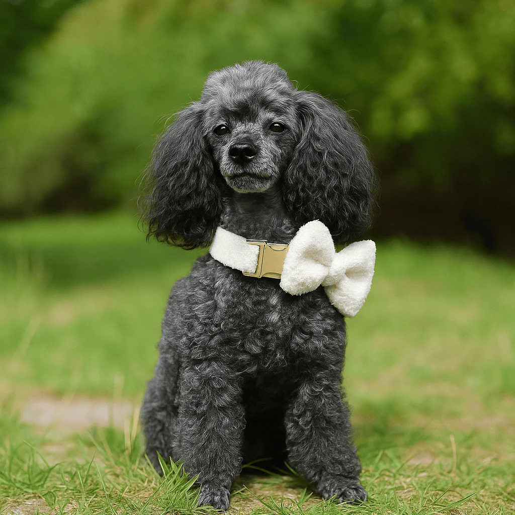 Personalized Wedding Teddy Handmade Knitted Classic Set - Image 2