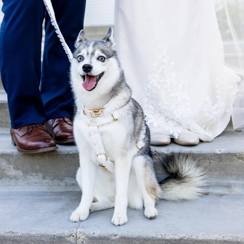 Personalized Wedding White Lace Classic Set - Image 2