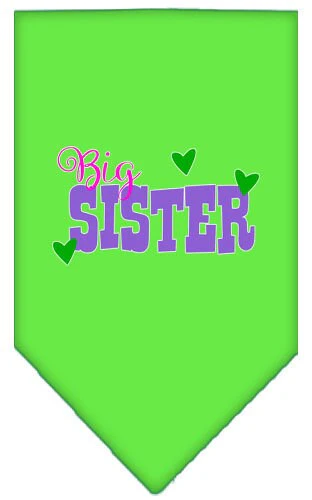 Pet and Dog Bandana Screen Printed, "Big Sister" - Image 10
